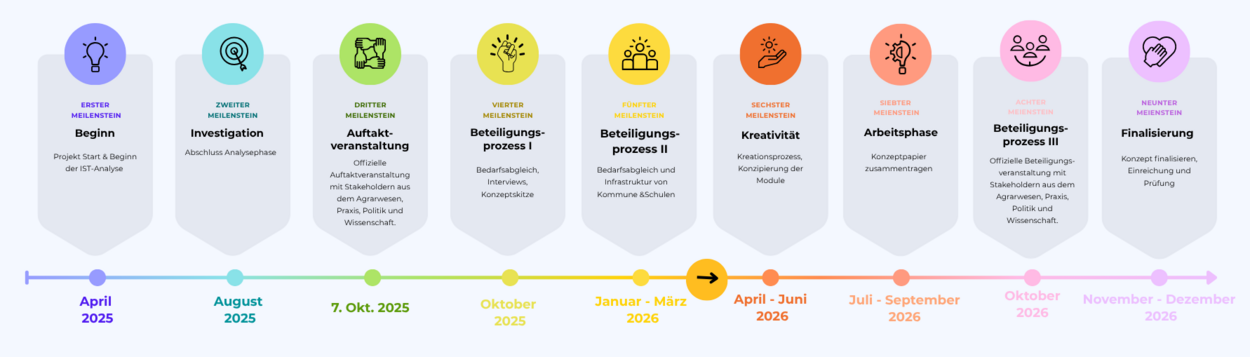Projekt Timeline Projekt Timeline